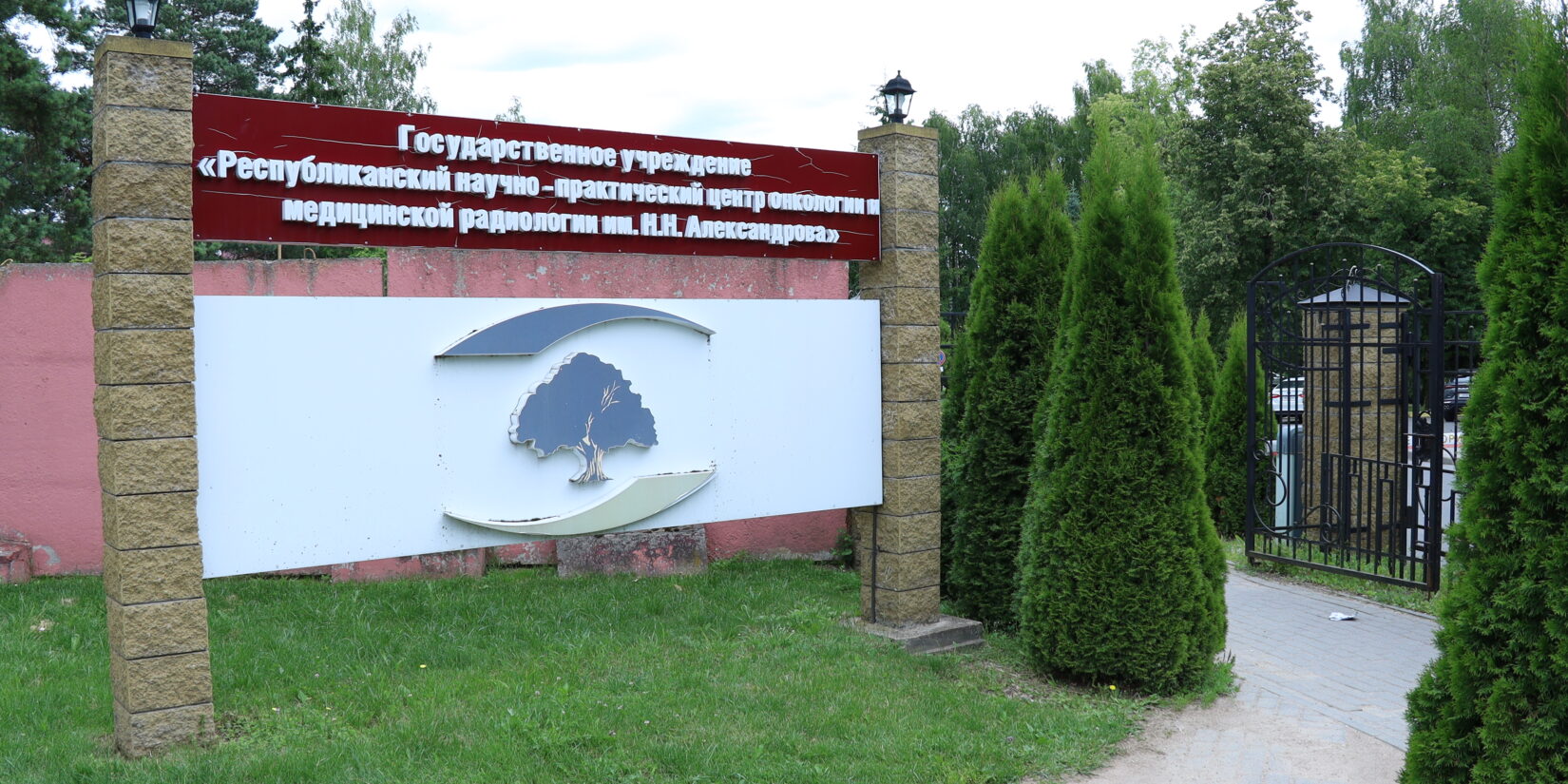 Встреча собаки-терапевта с онкопациентами